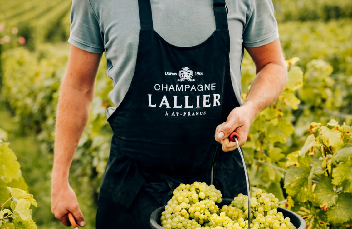 Champagne Lallier