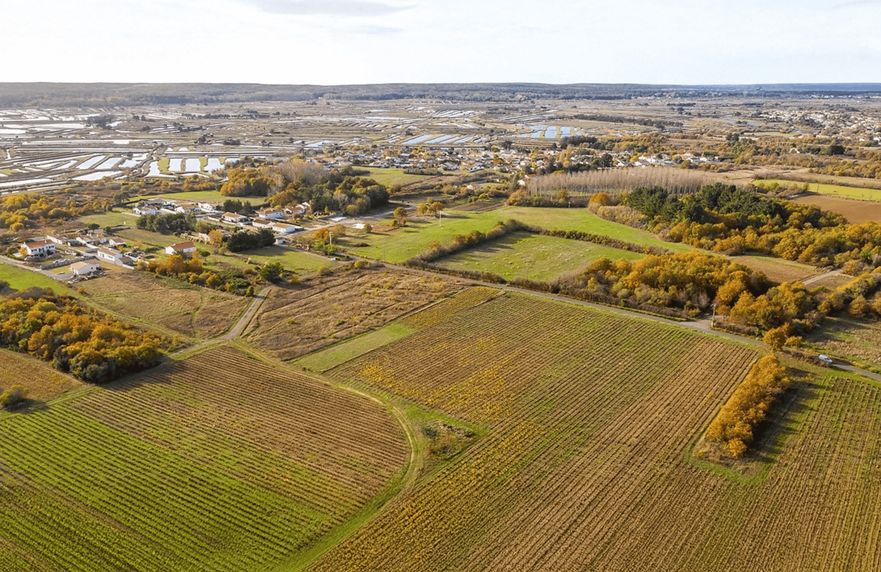 Domaine Saint-Nicolas