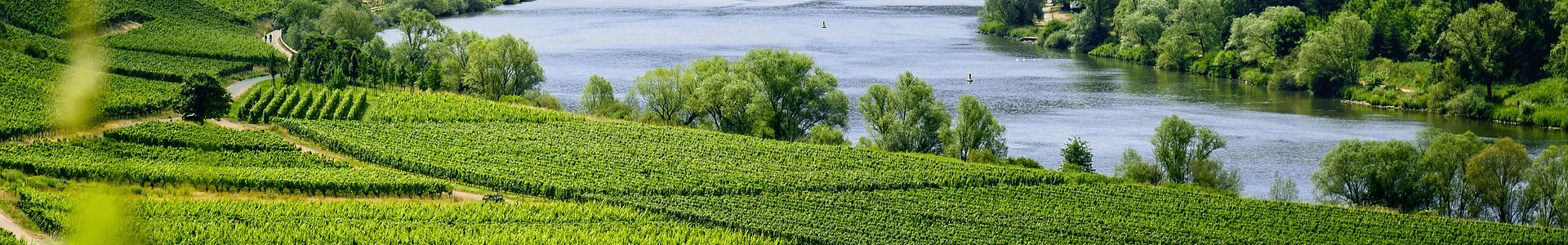 Château Yvonne