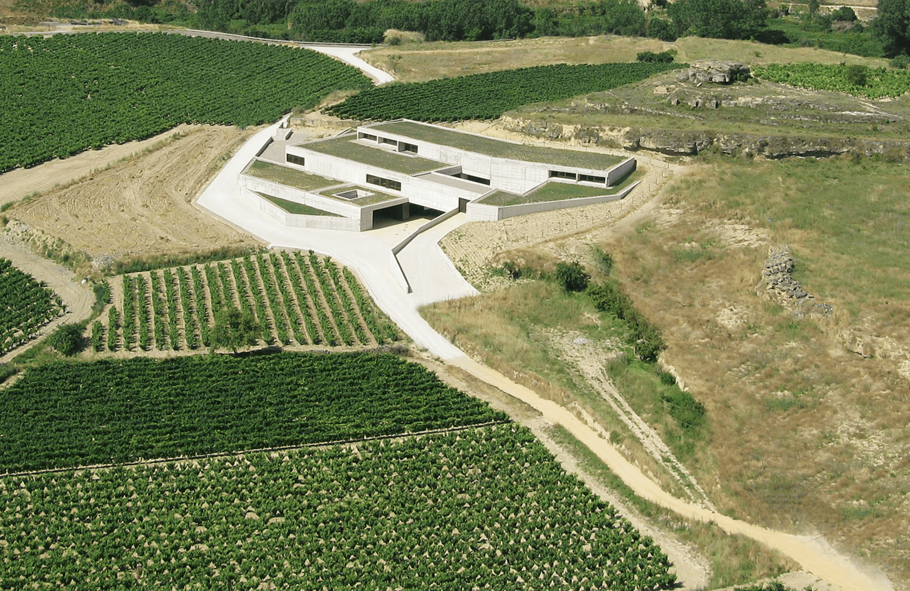 Vins Bodega Contador - Espagne