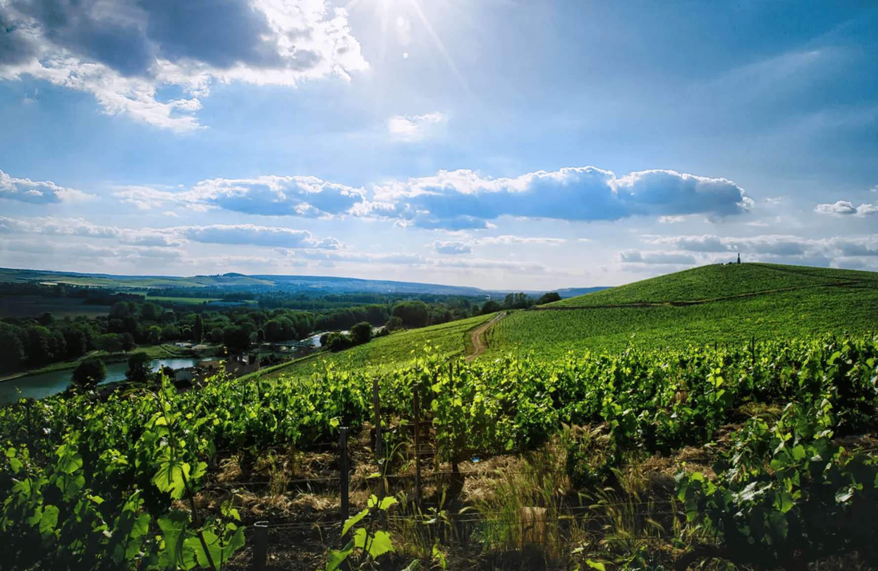 l’histoire du Champagne Philipponnat