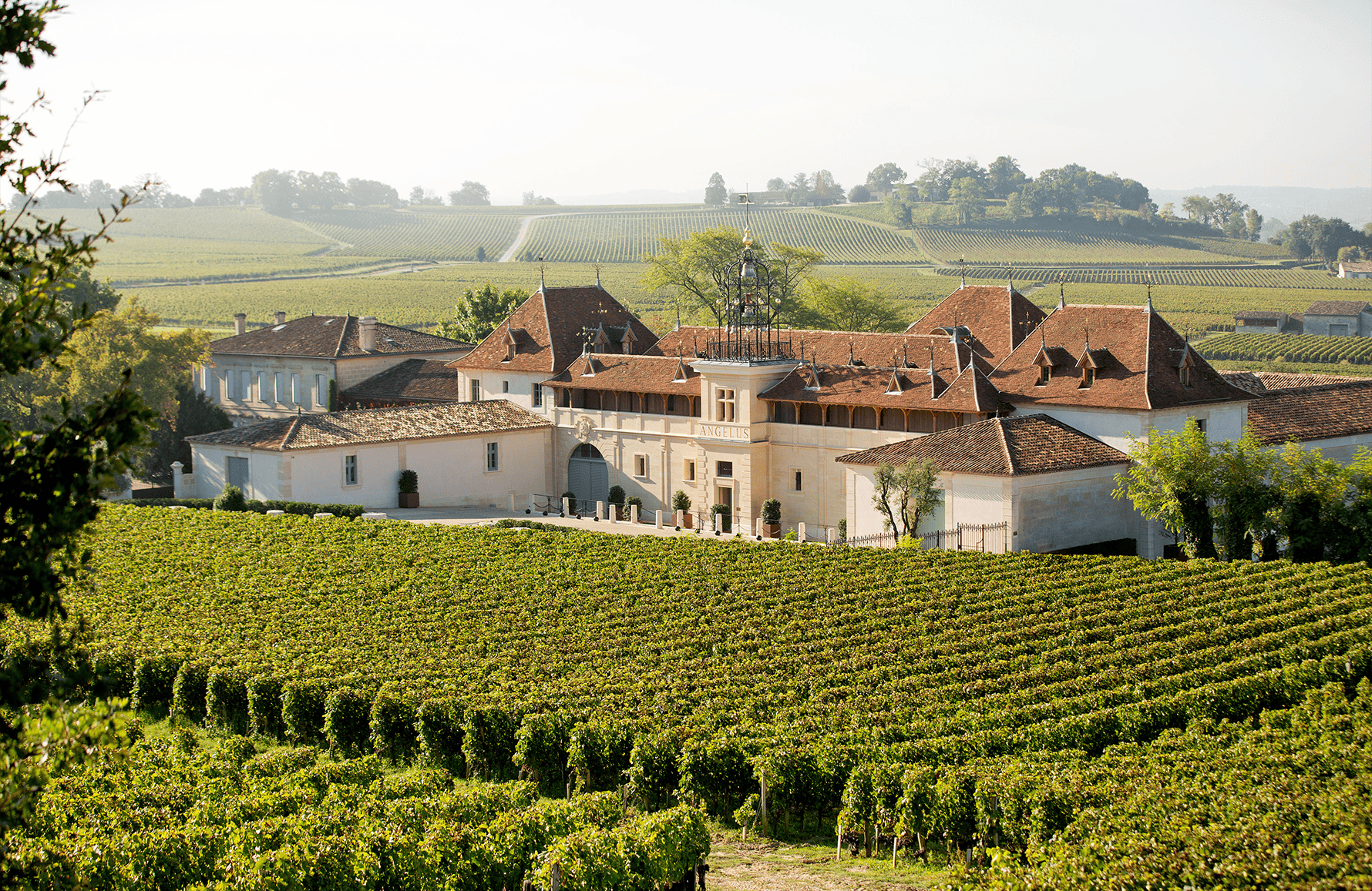 Vins Château Angelus