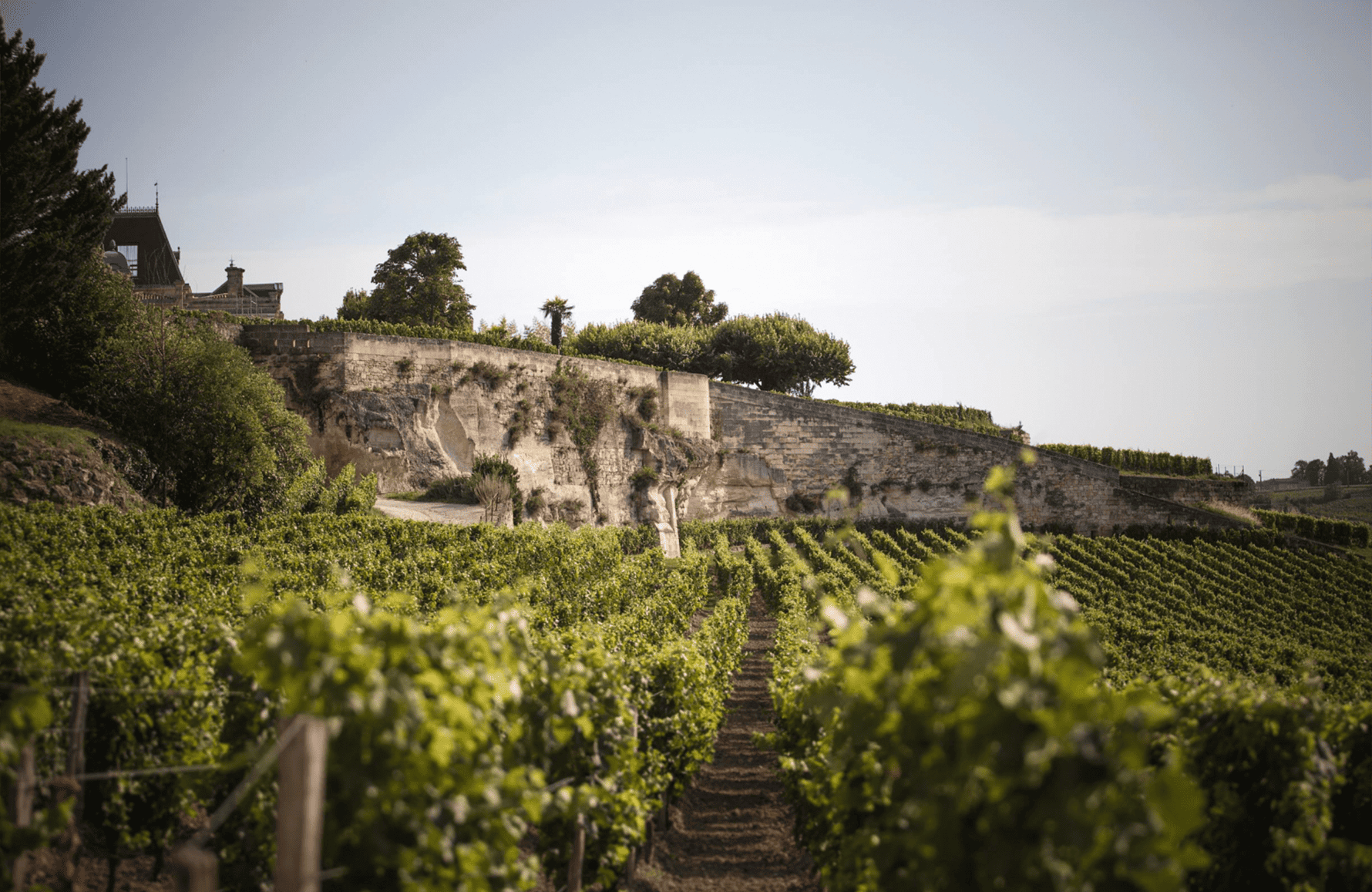 Vins Château Ausone