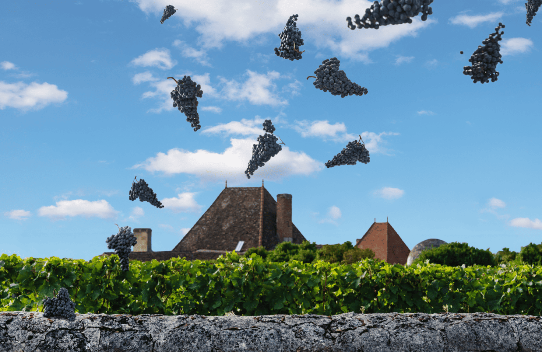 Vinos Château Bélair-Monange