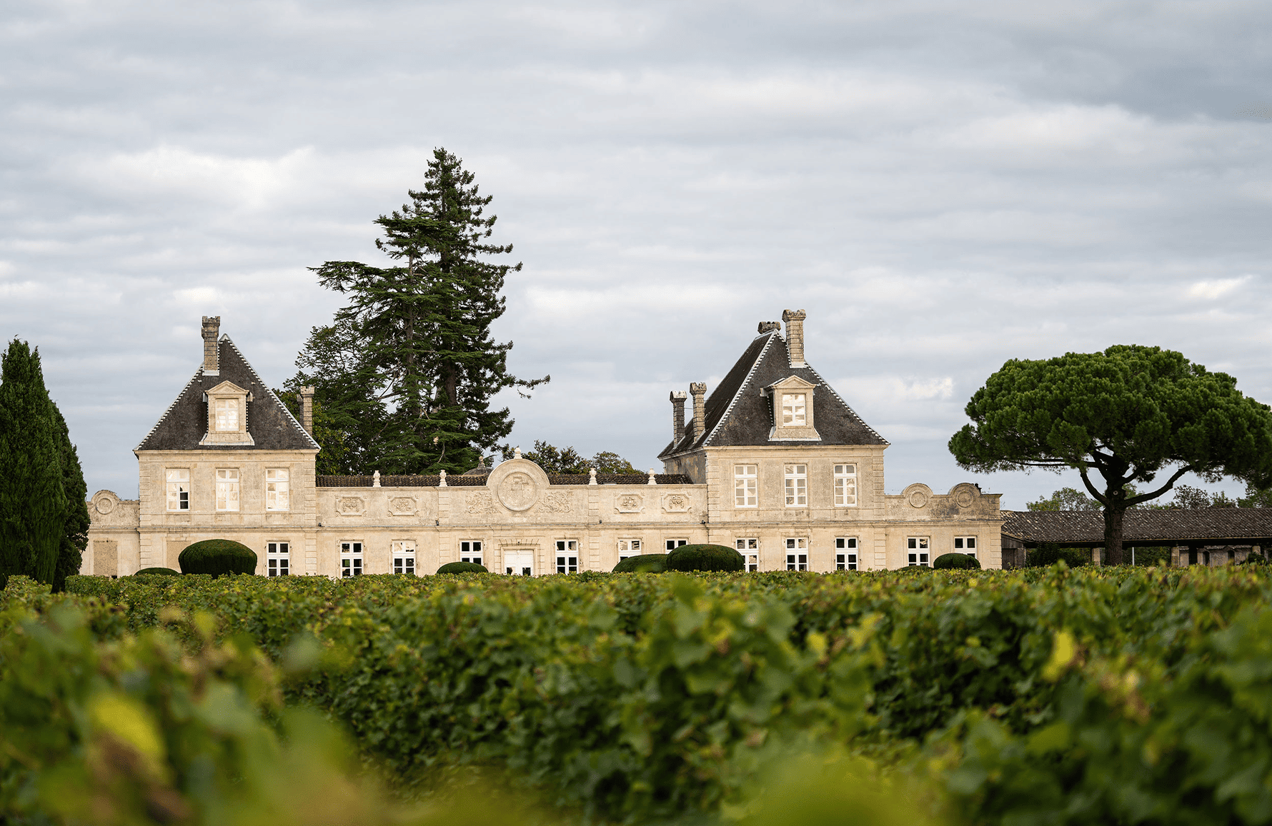 Vinos Château de Cérons