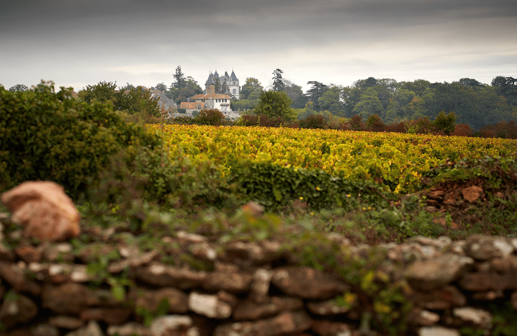 Vinos Château de Chamirey