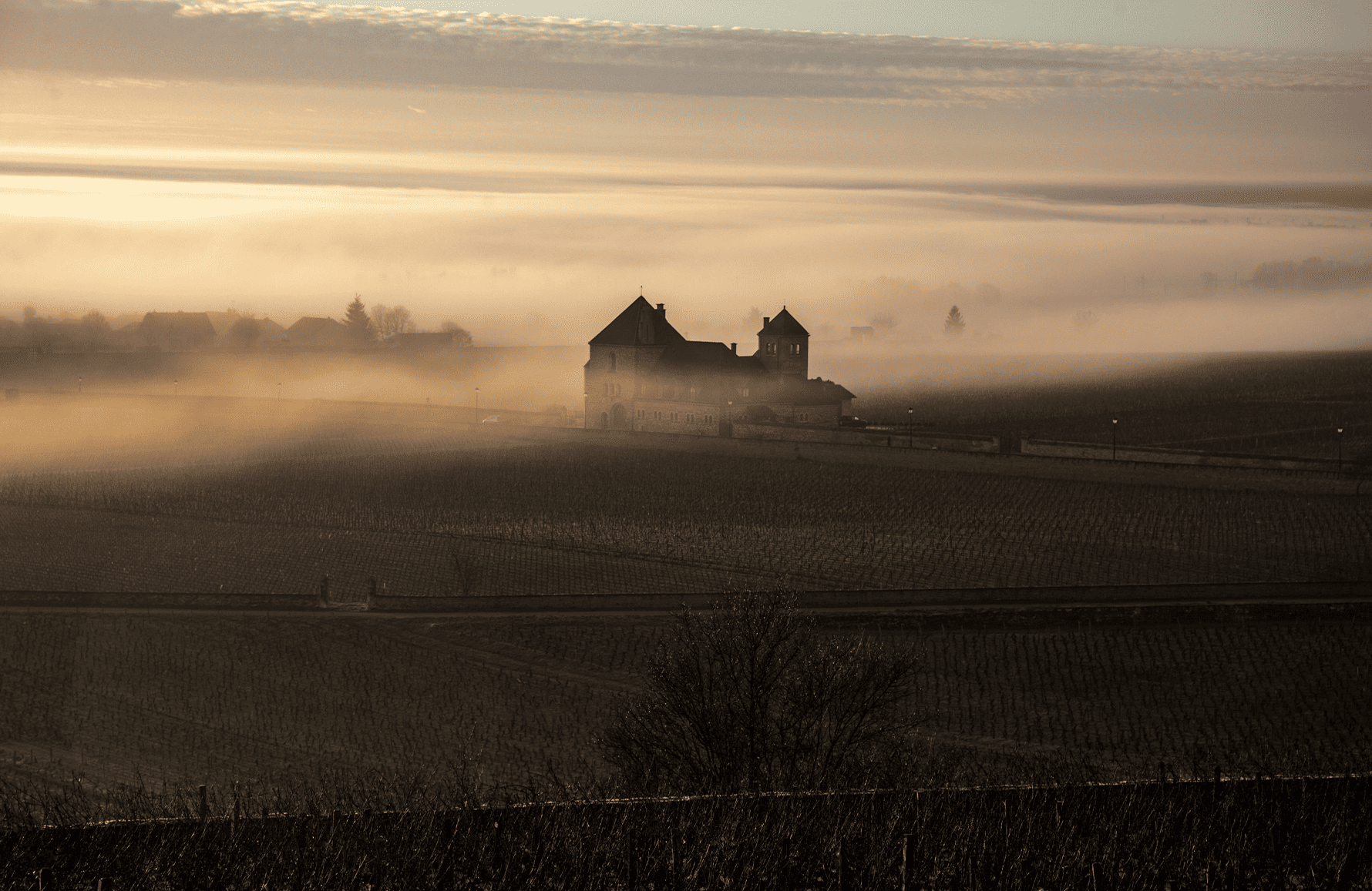 Vinos Château De La Tour