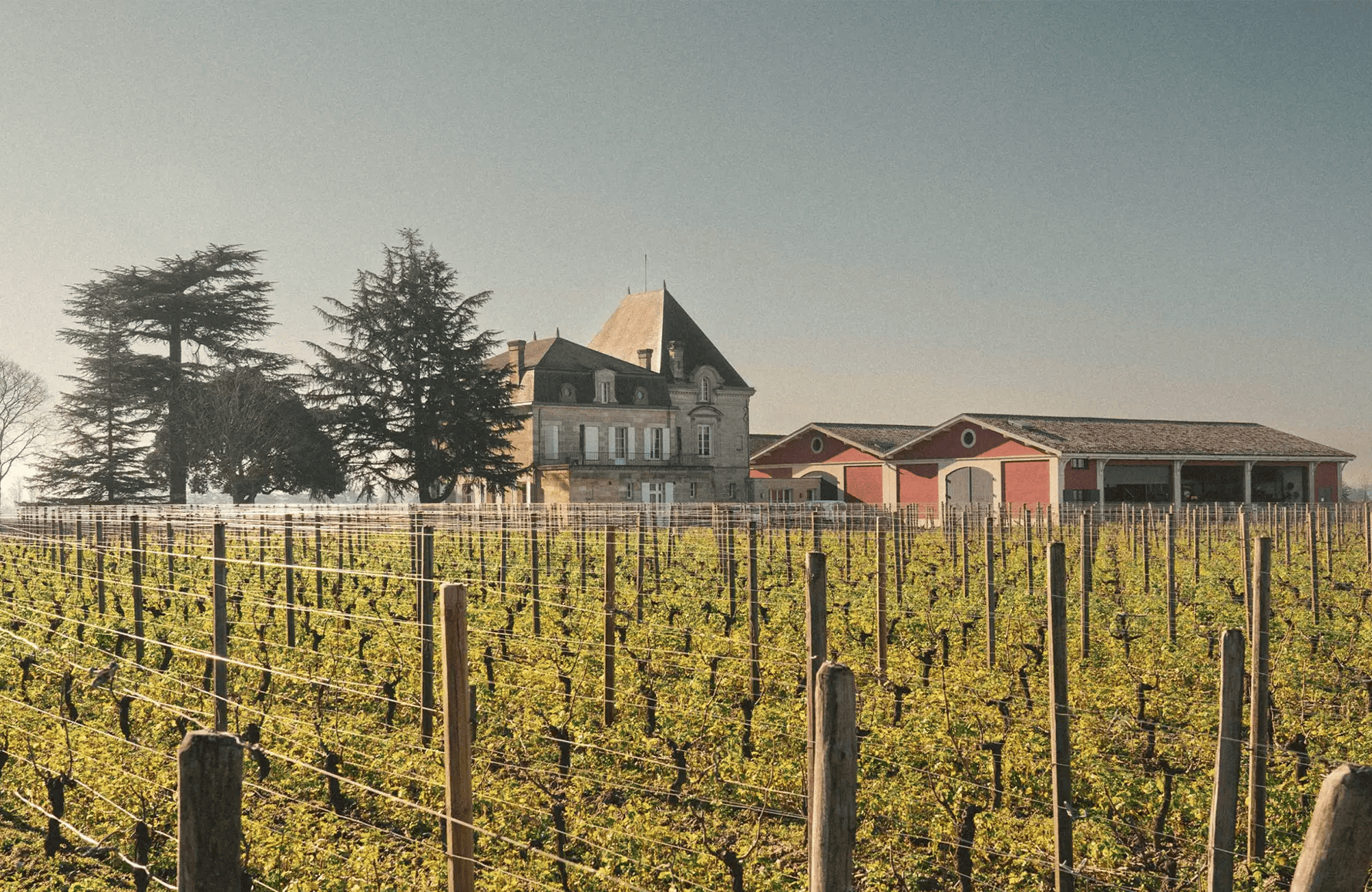 Vinos Château L'Evangile