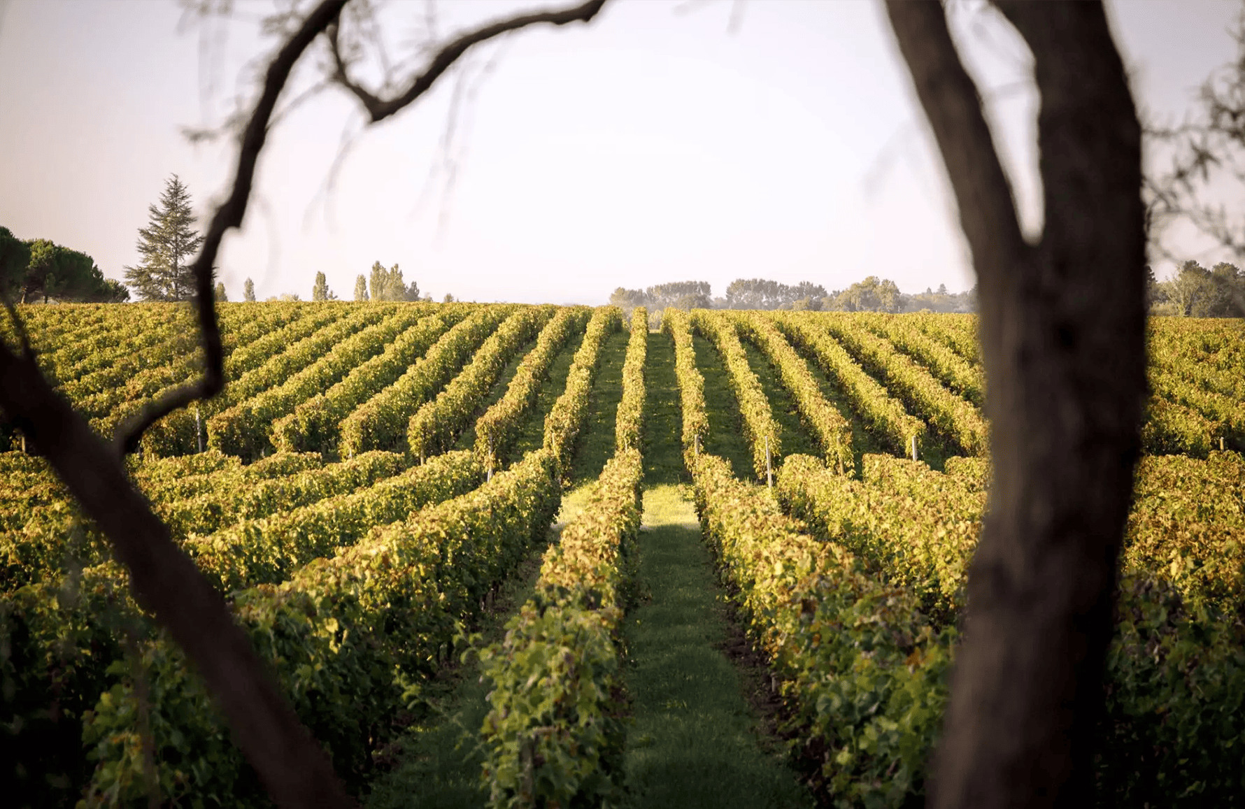 Vinos Château Duhart-Milon