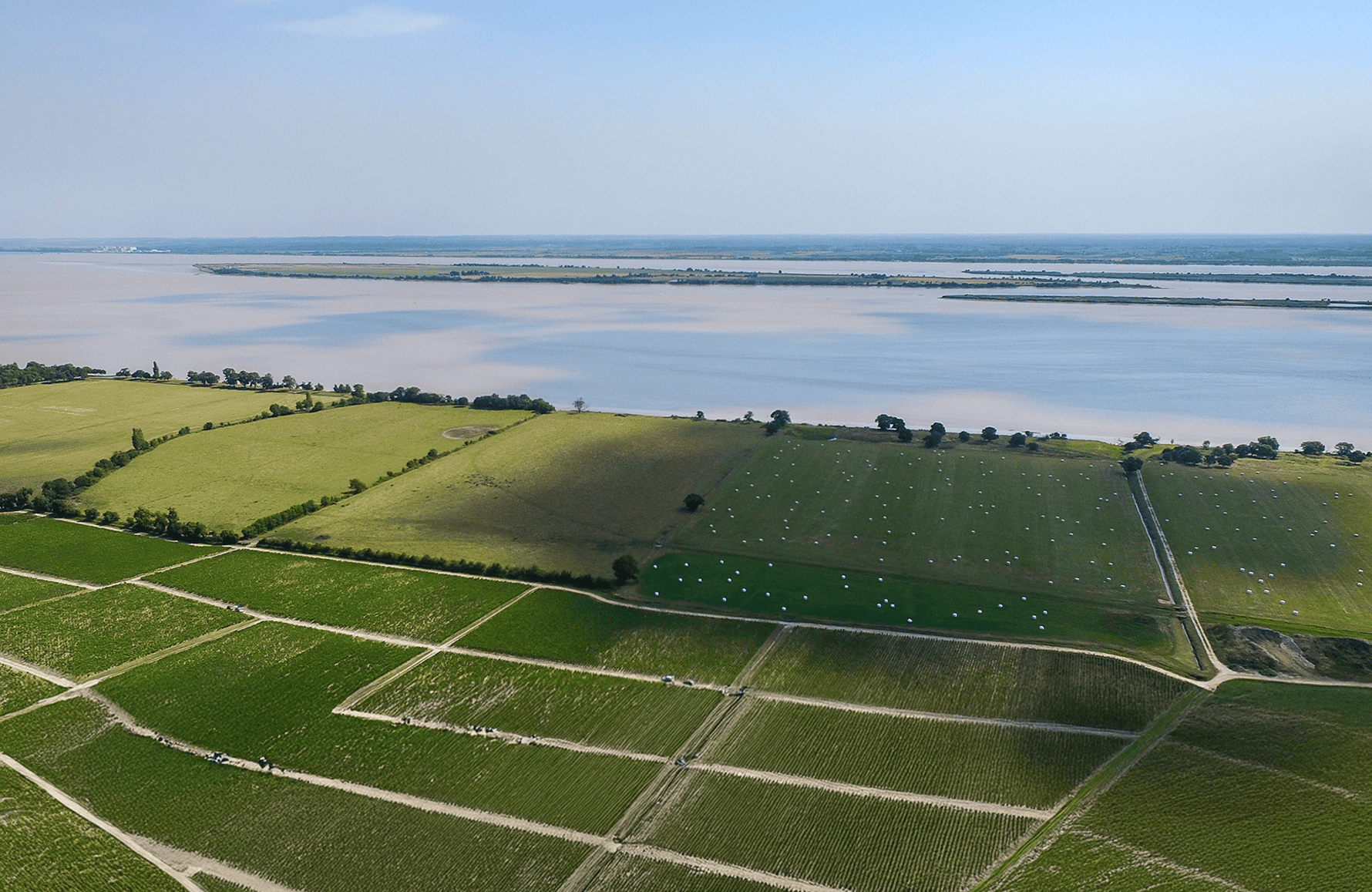 Vinos Château Léoville Las Cases