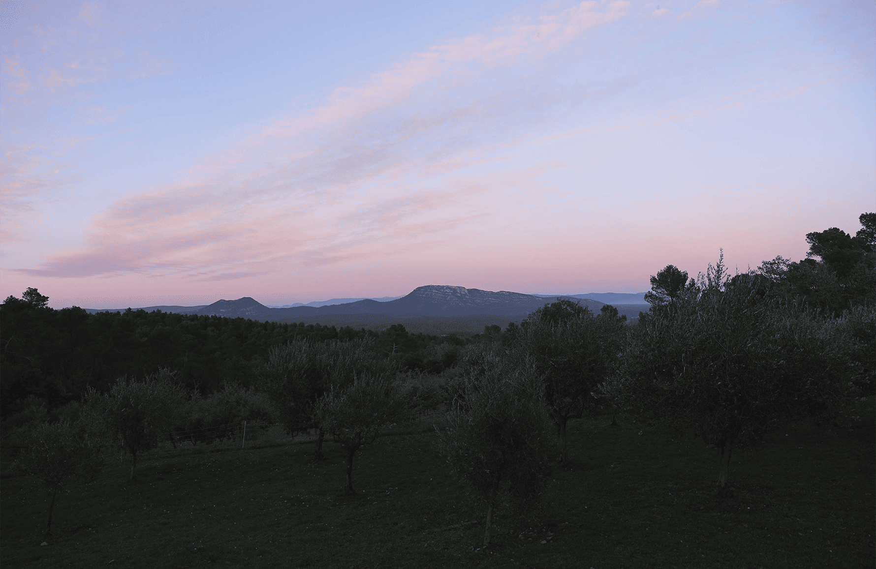 Vinos Château Miraval