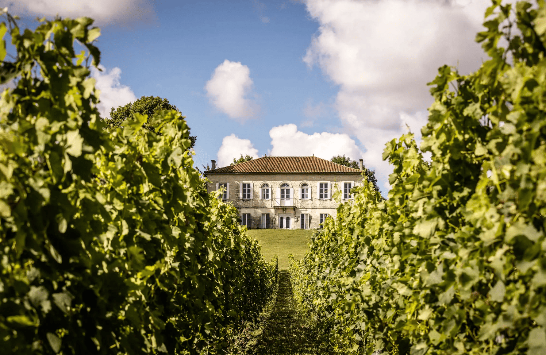 Vinos Château Reysson