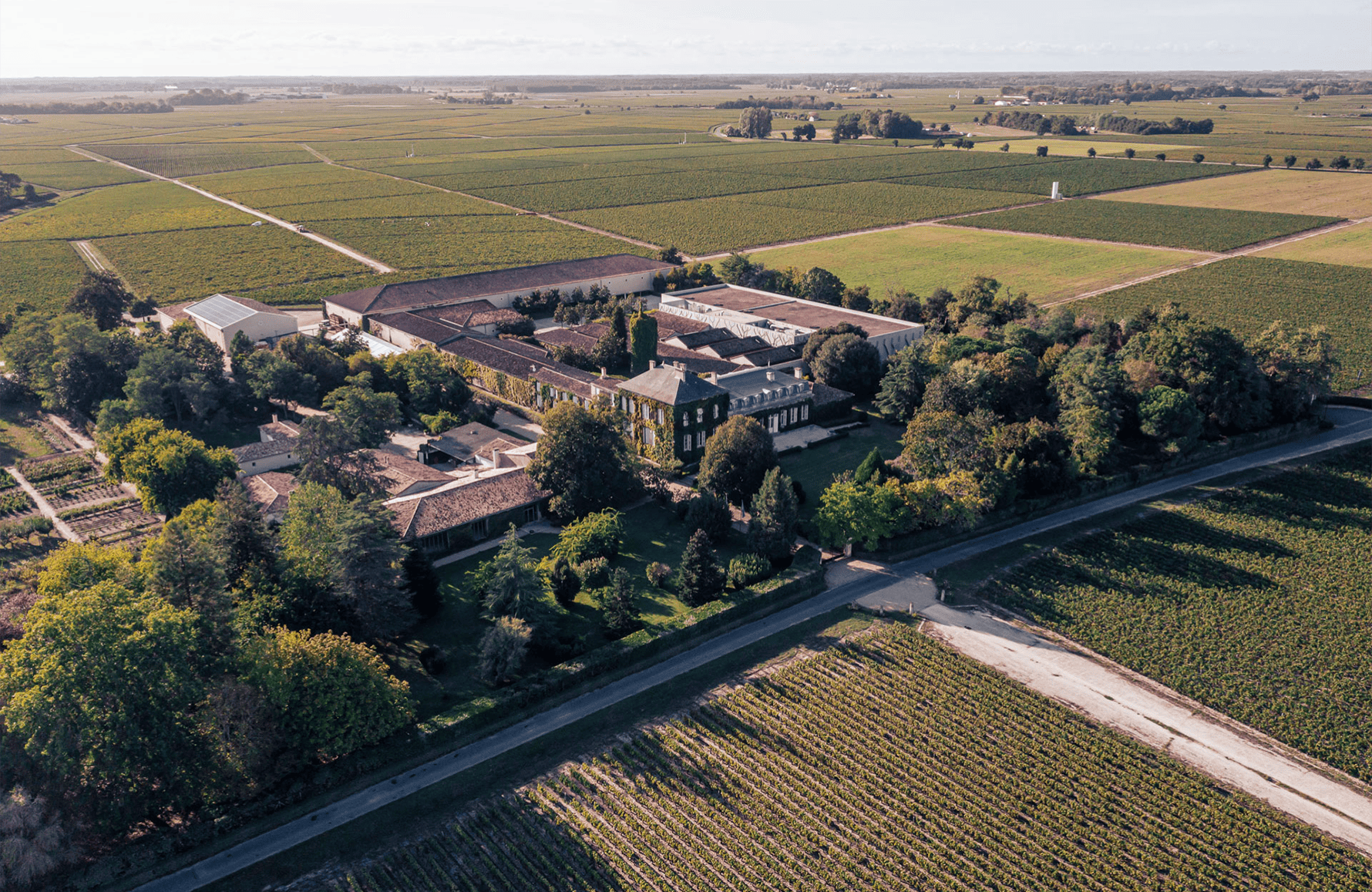 Vins Château Talbot