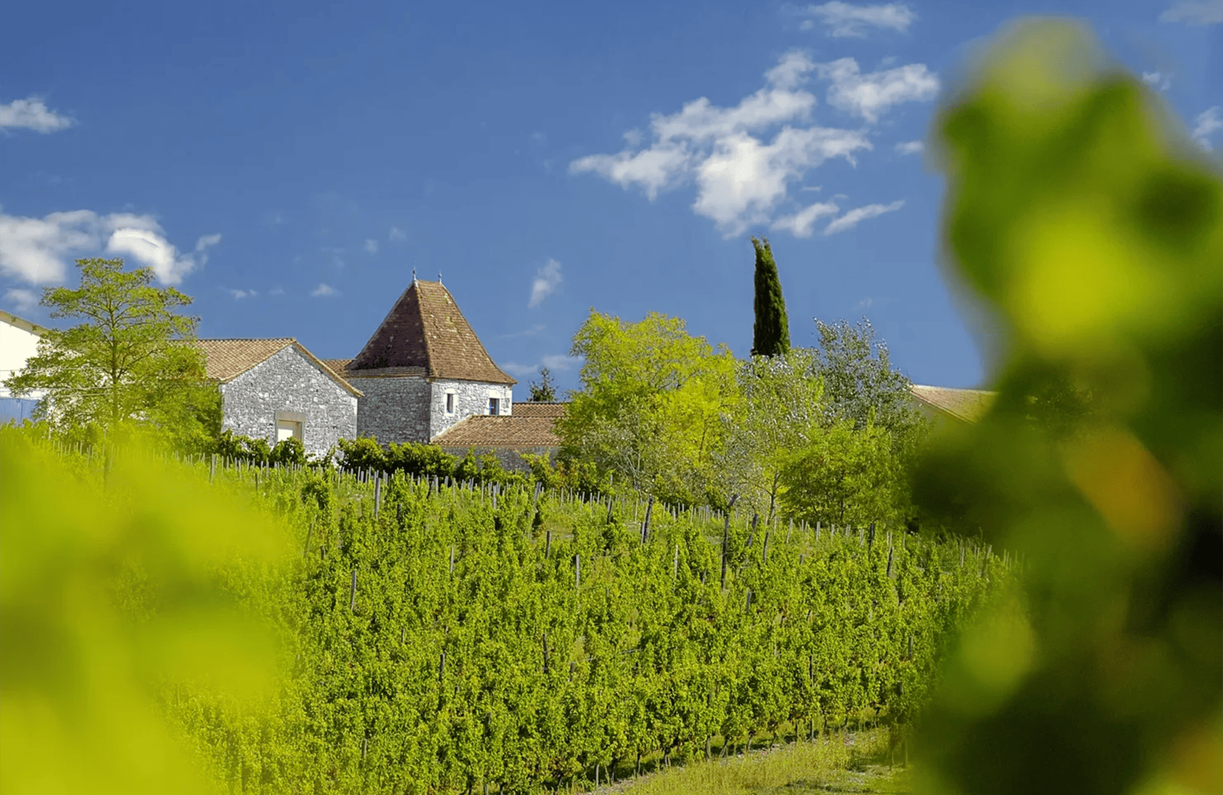 la historia de Château Tour des Gendres
