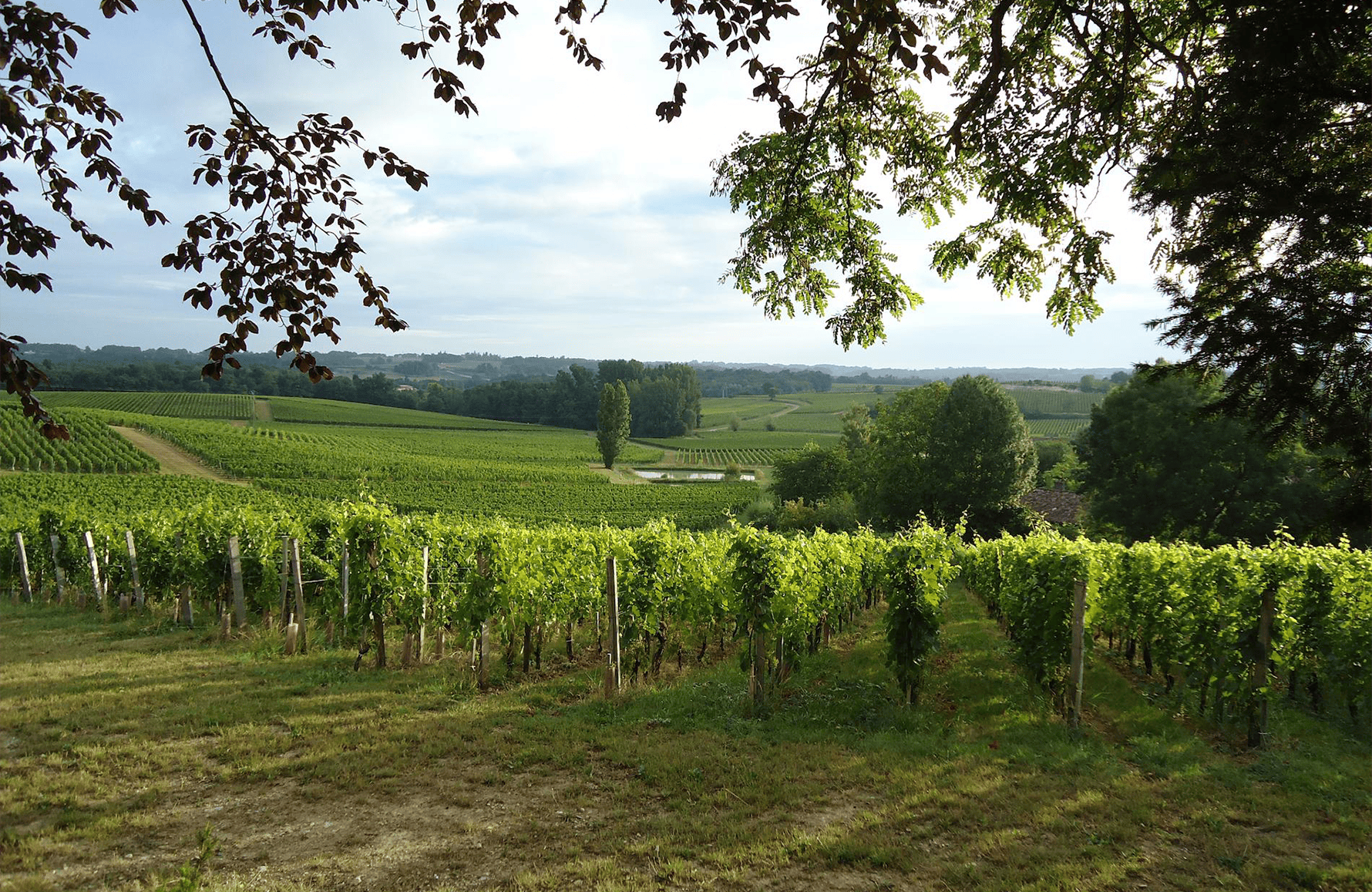 Vinos Château Valandraud