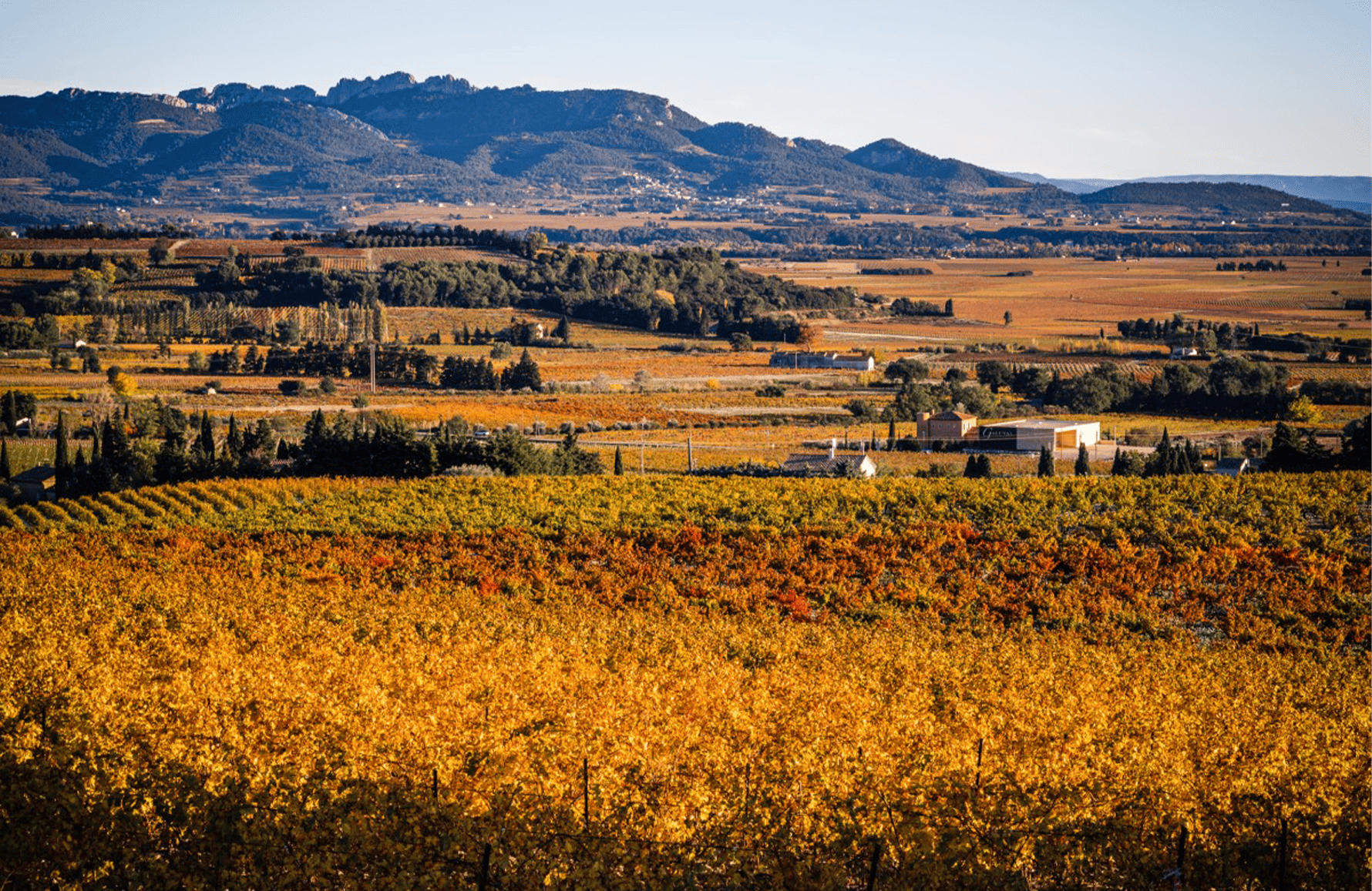 the story of Domaine Boisson