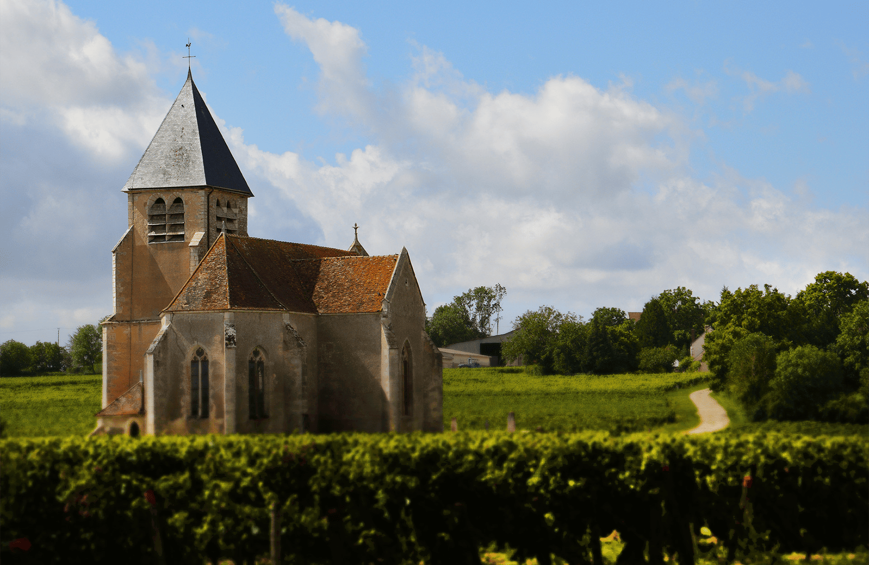 Vinos Famille Brocard