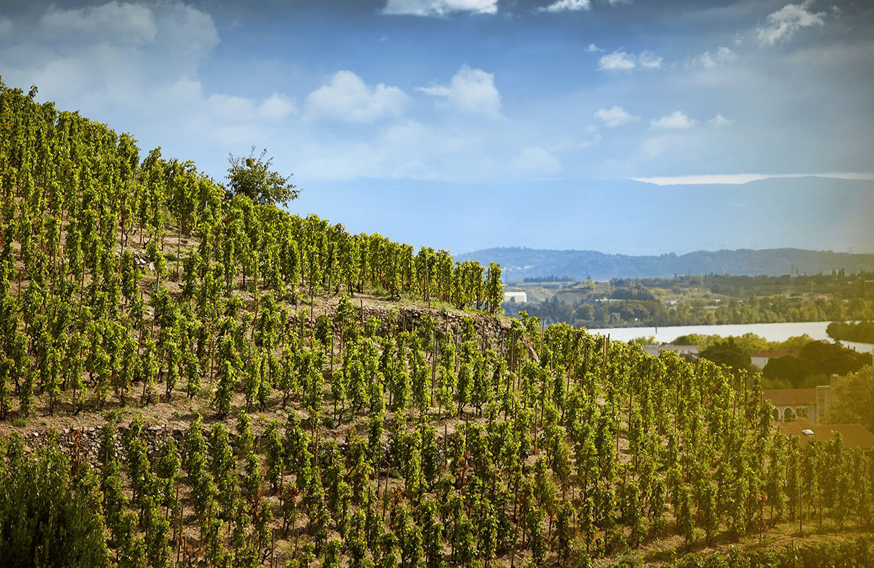 l’histoire du Delas Frères