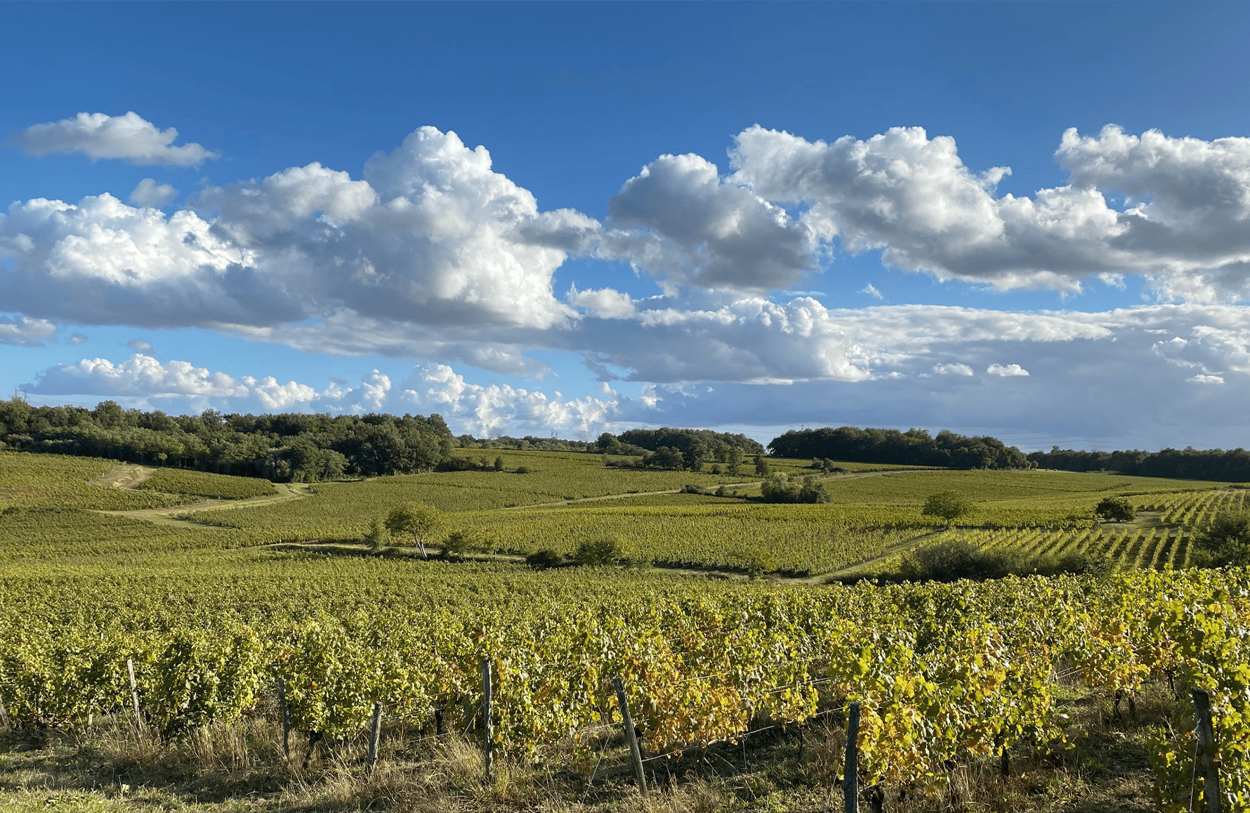 la historia de Domaine des Closiers