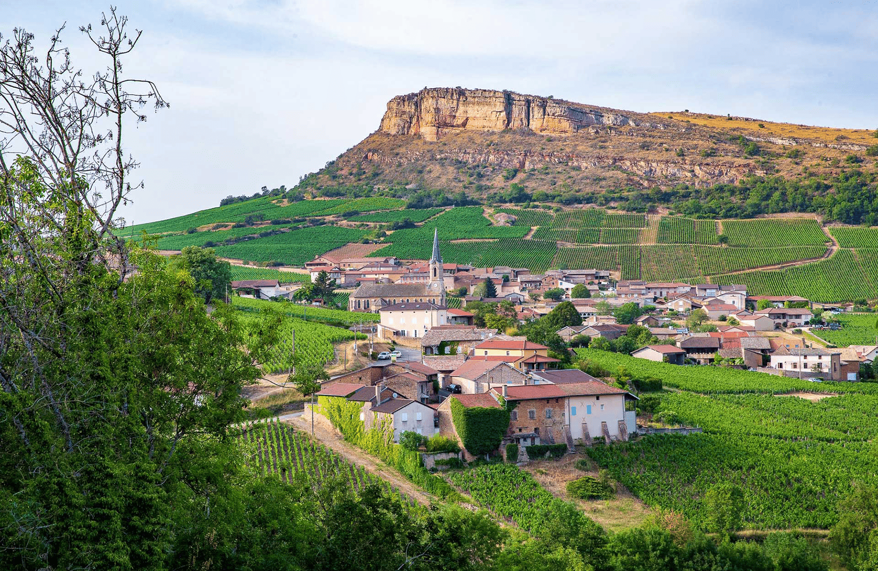 Vinos Domaine Guffens-Heynen