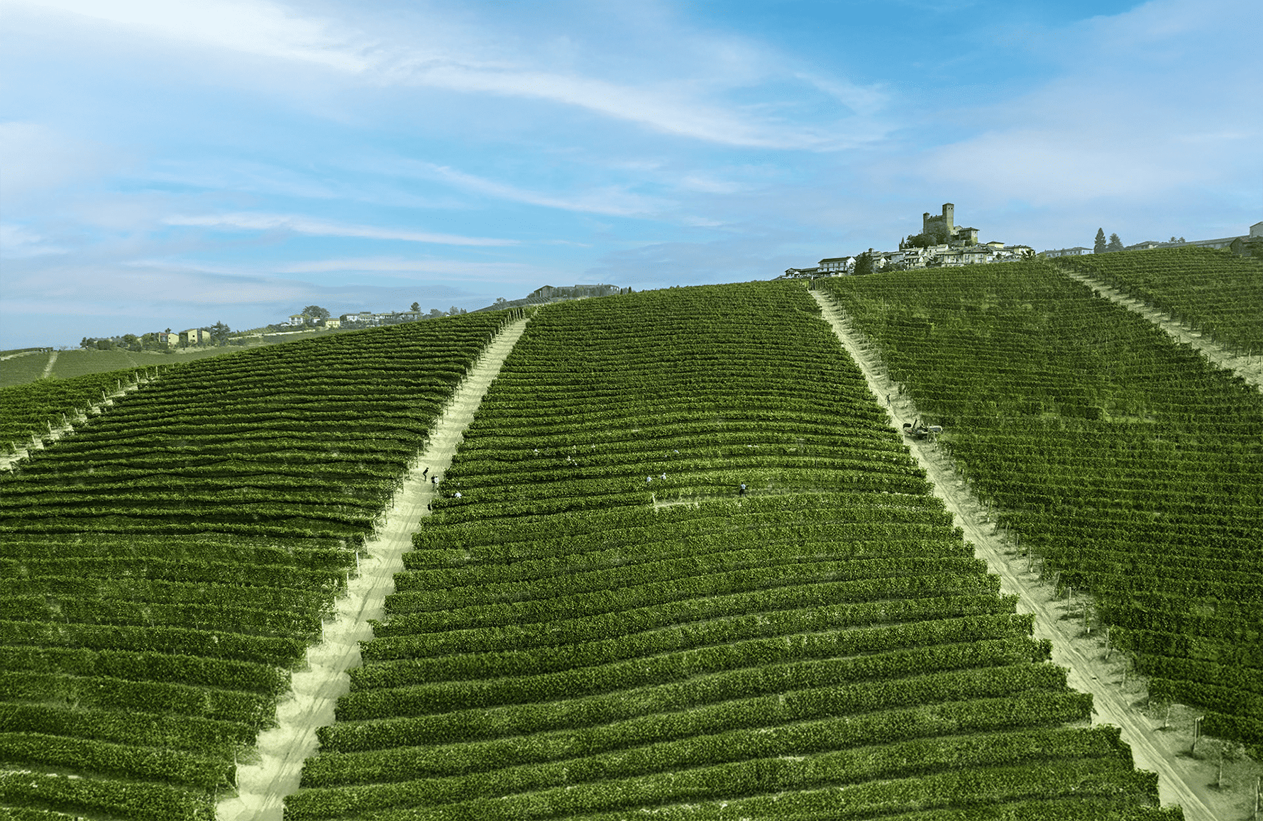 Vins Giovanni Rosso - Italie