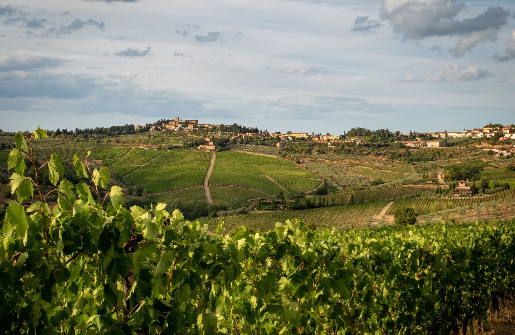 Vins Paolo Scavino - Italie