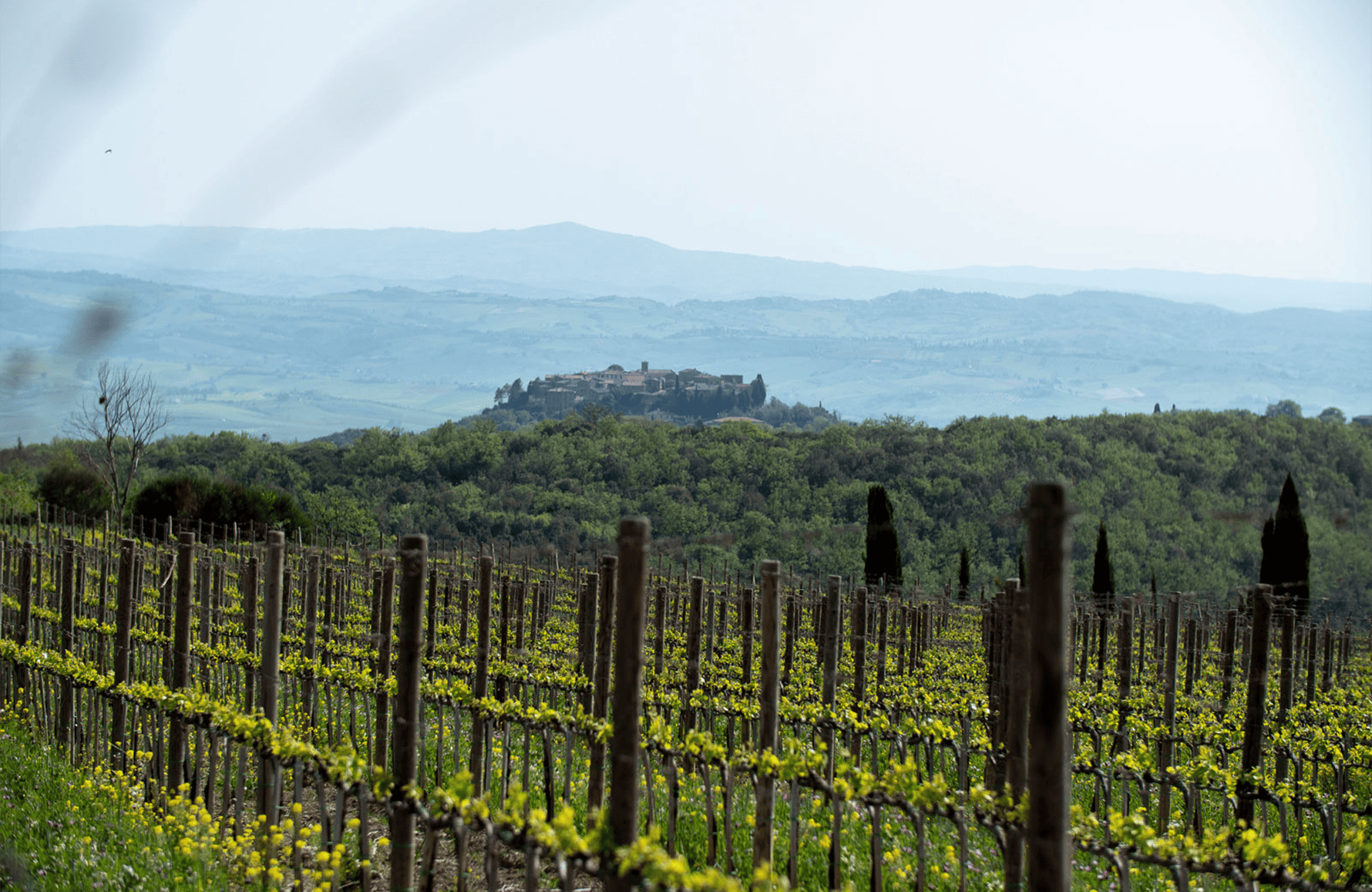 Vins Poggio Antico - Italie