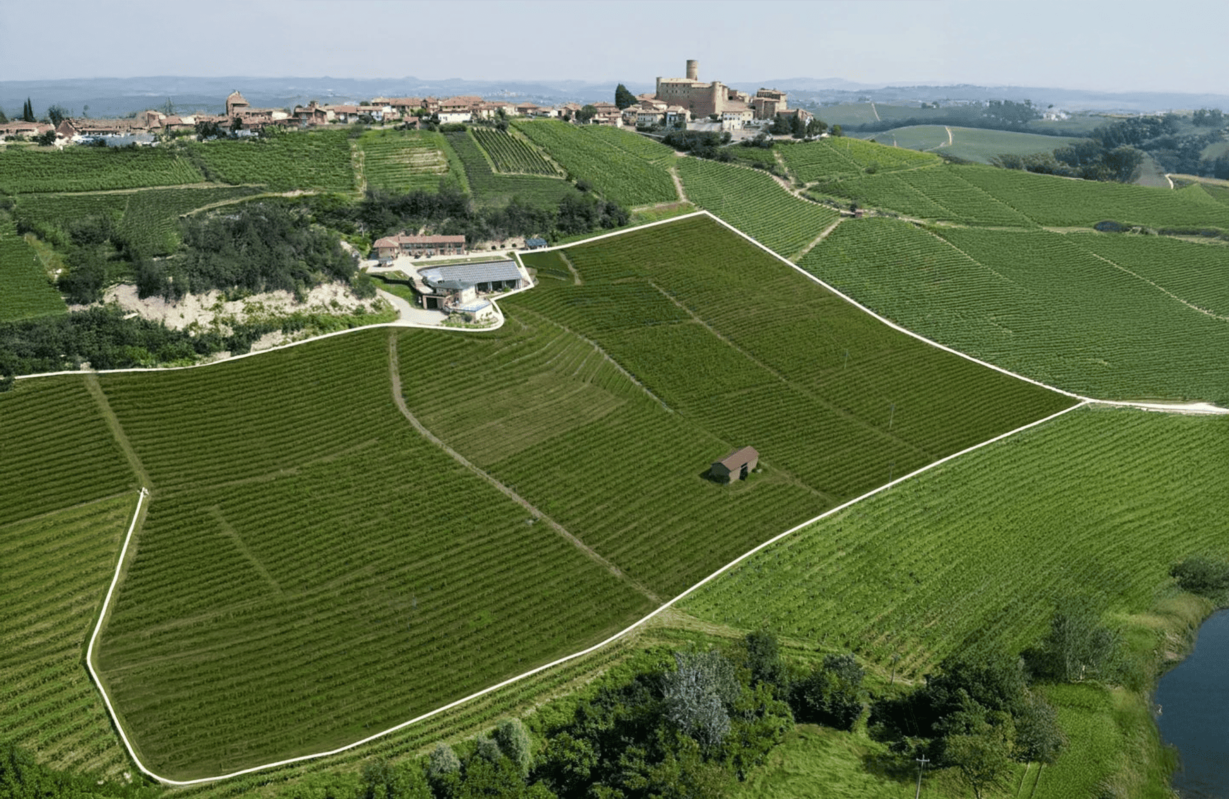 Vins Roagna - Italie