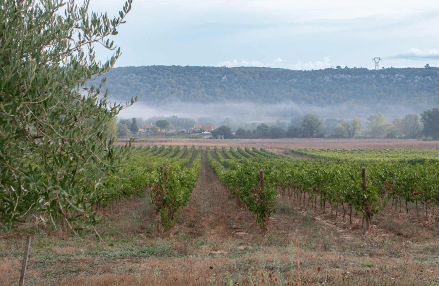 Domaine de la Mongestine
