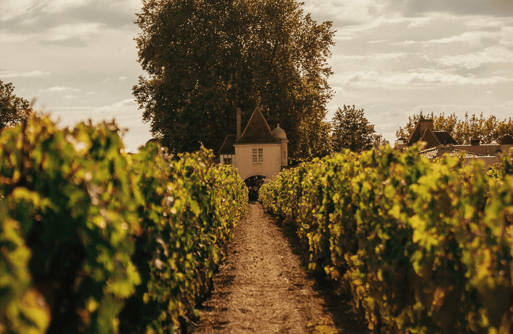 Château Rauzan-Ségla