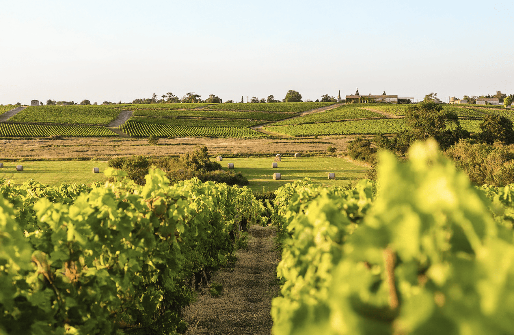 Château Ormes de Pez