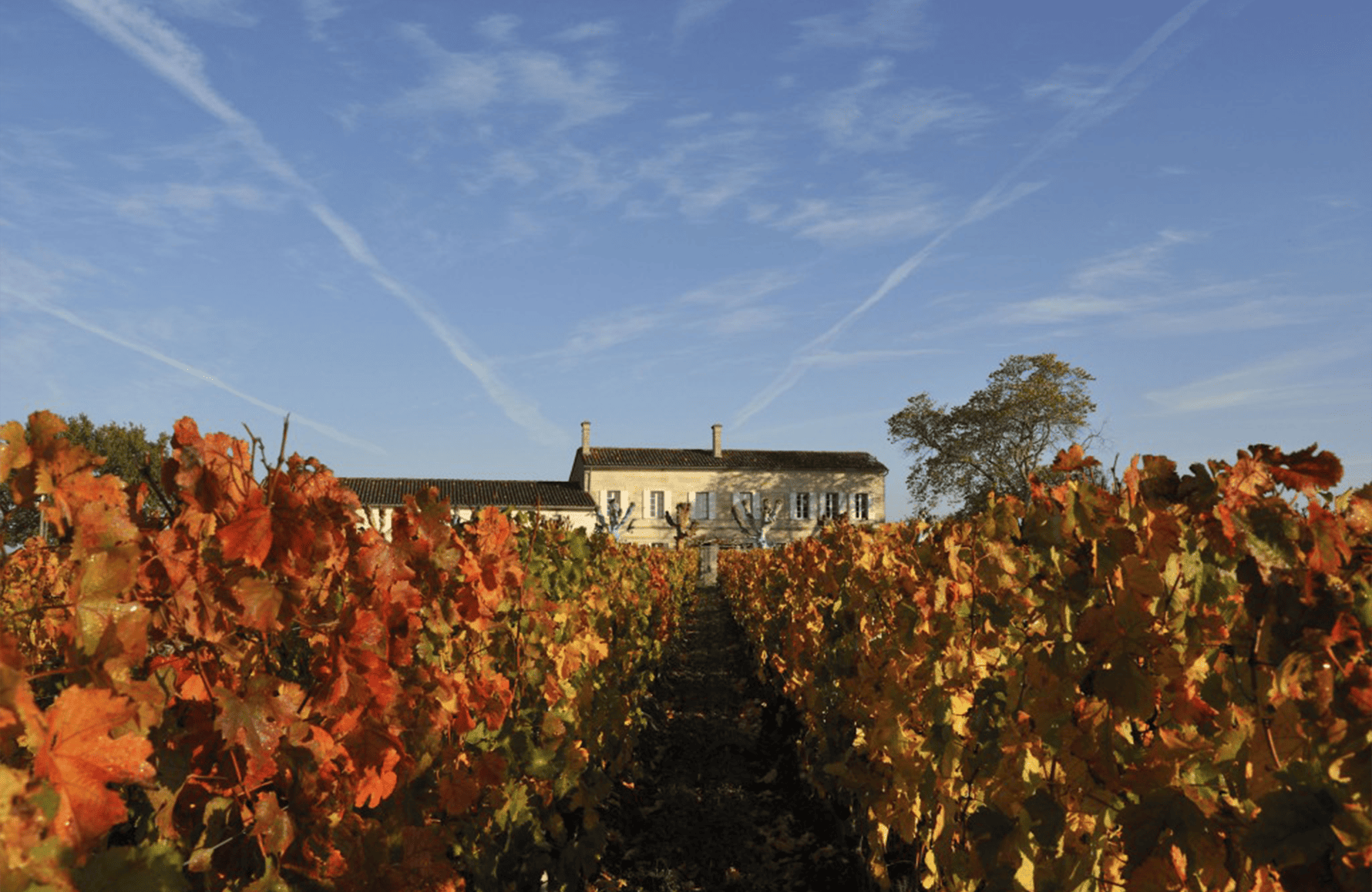 Château l'Eglise-Clinet