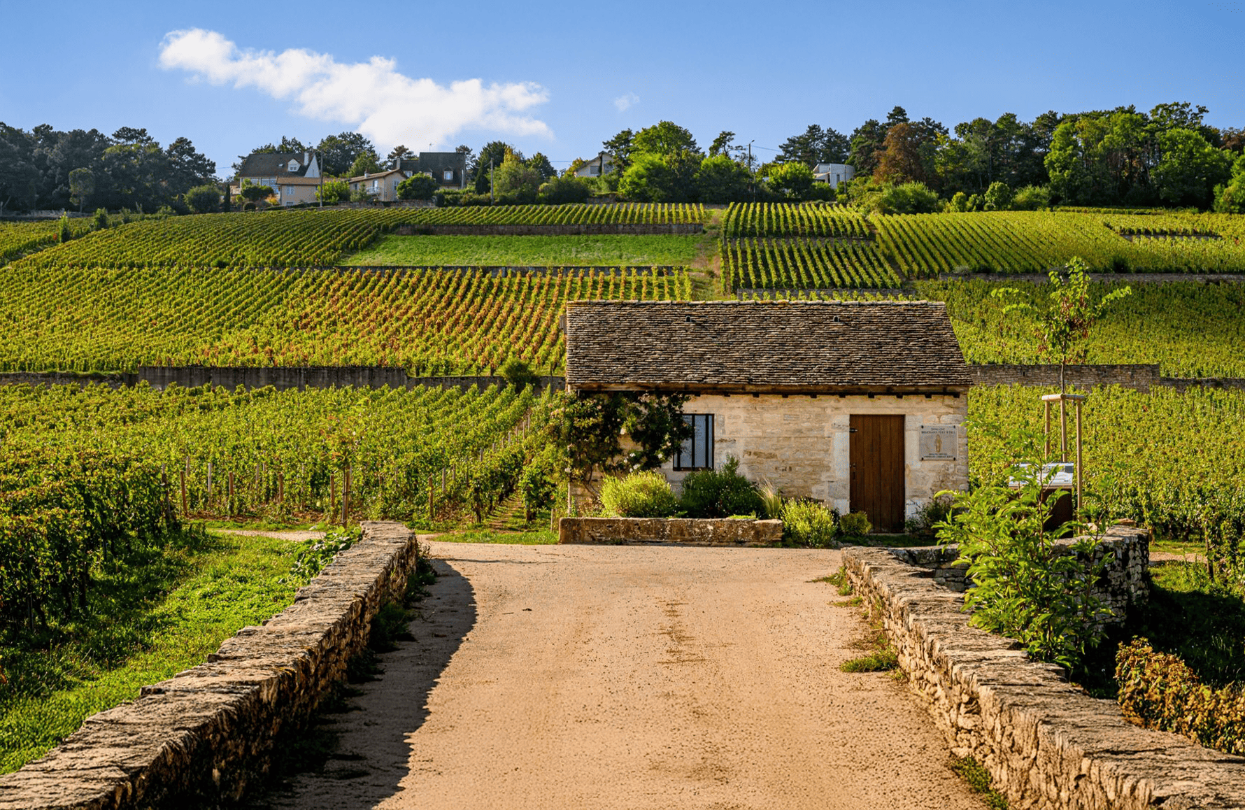 Domaine Bouchard Père et Fils