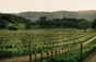 Joseph Phelps Vineyards - Etats-Unis