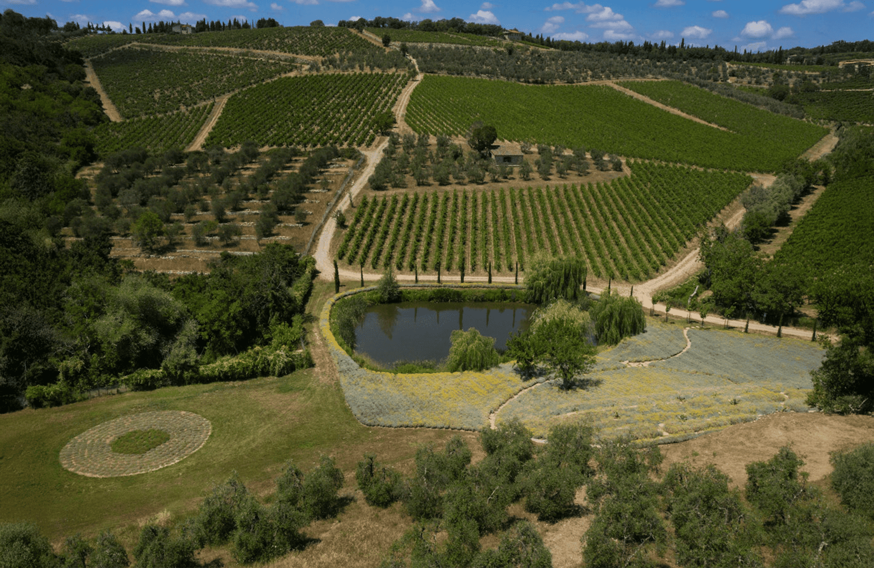 Castello Di Ama - Italie