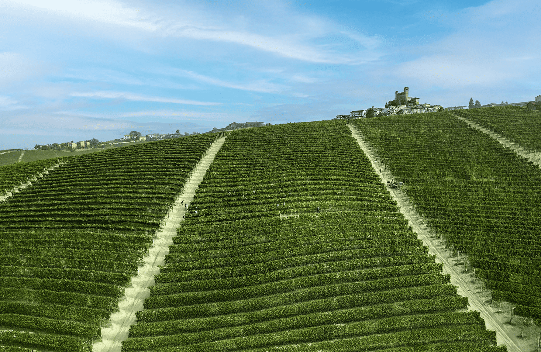 Giovanni Rosso - Italie