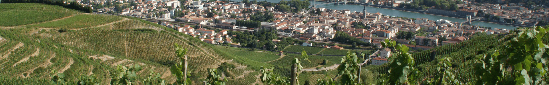 Domaine Bernard Gripa