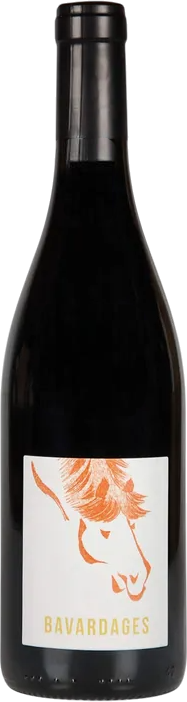 Domaine Jeanne Germain - Saumur-Champigny Bavardages 2021