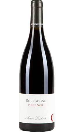 Domaine Antoine Lienhardt - Pinot noir 2021 - Bourgogne
