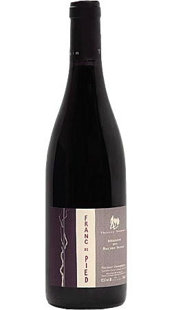 Domaine des Roches Neuves - Franc de Pied 2023 - Saumur Champigny