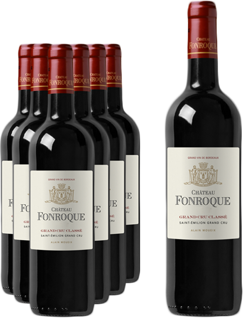 6 bouteilles de Château Fonroque Saint-Émilion Grand Cru Classé 2021 + 1 Magnum 2022 OFFERT