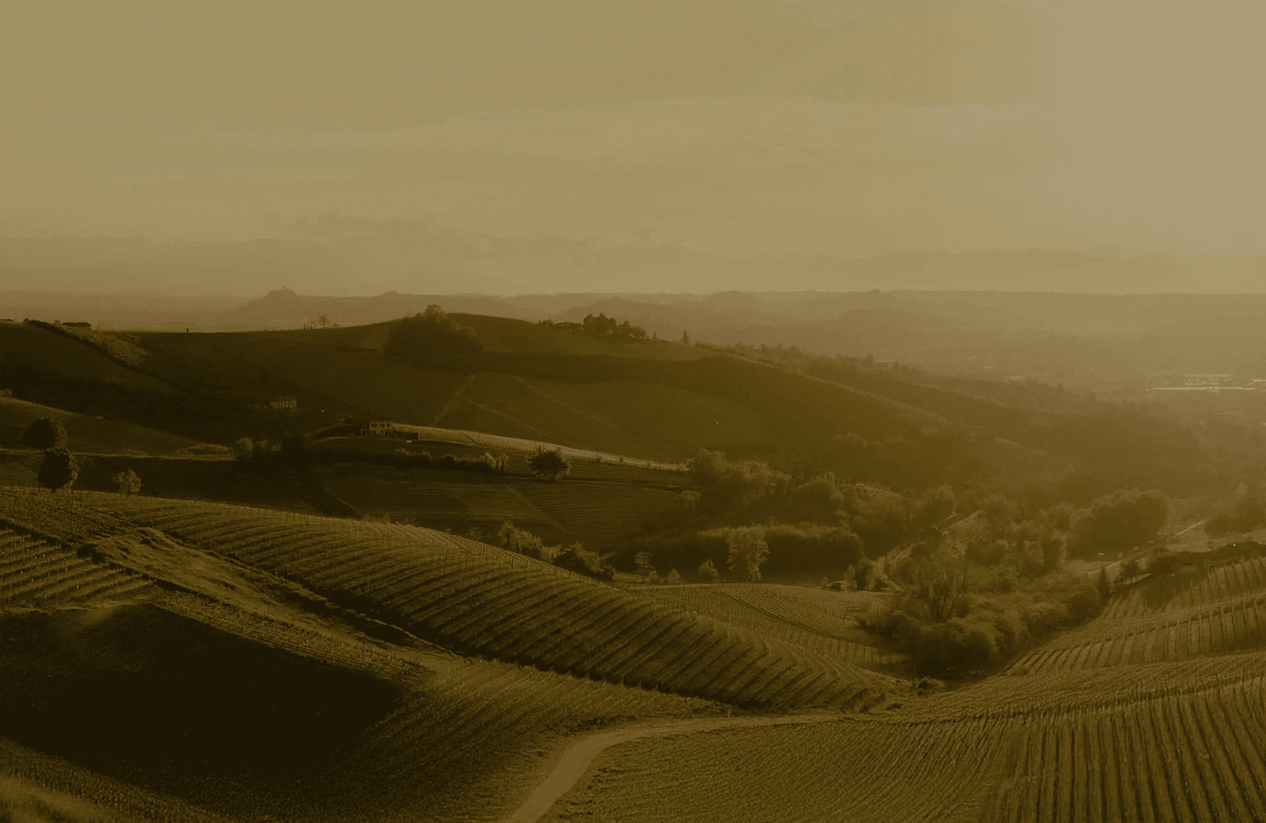 Wines Cascina delle Rose - Italy