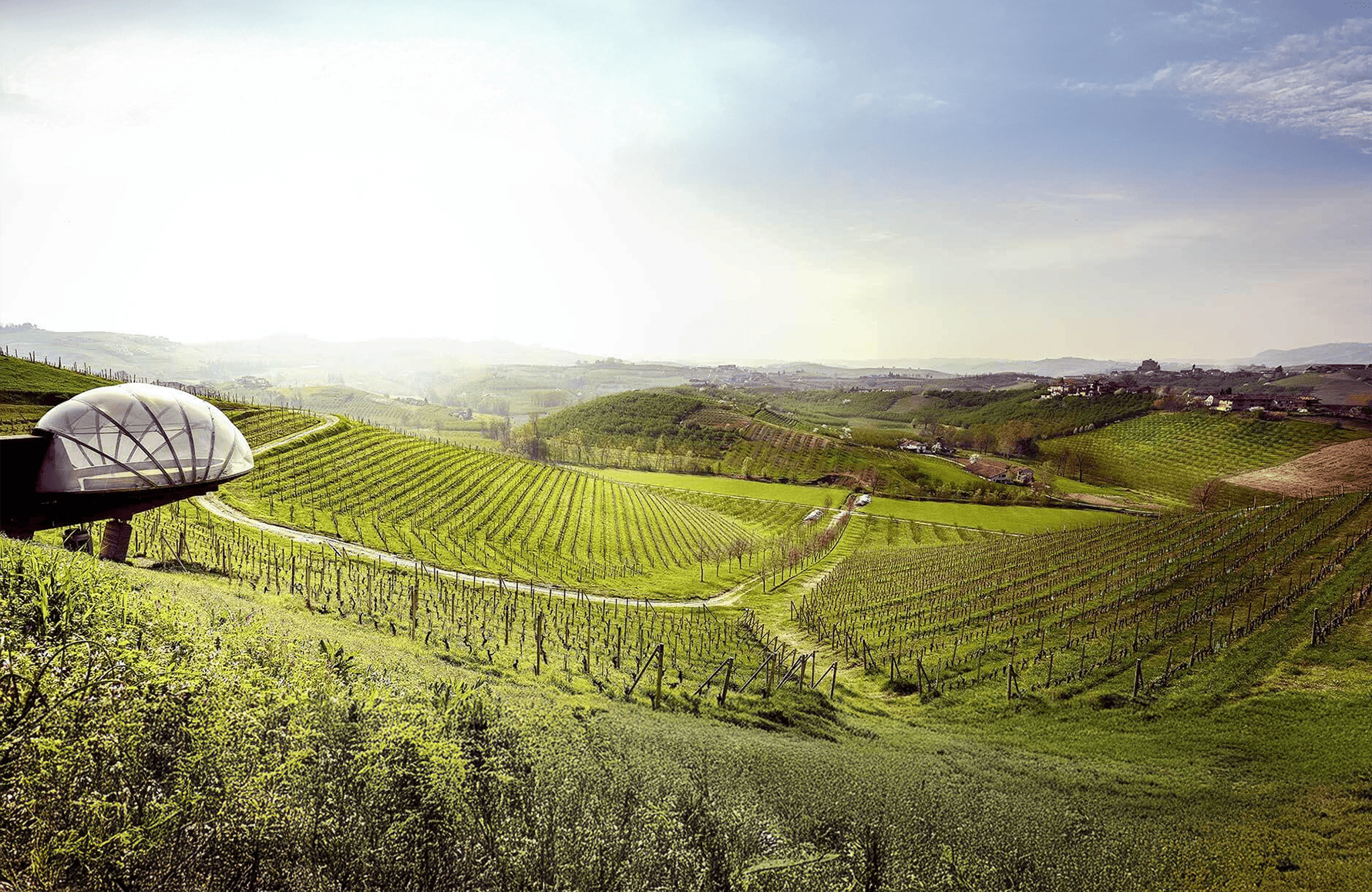 Wines Ceretto - Italy