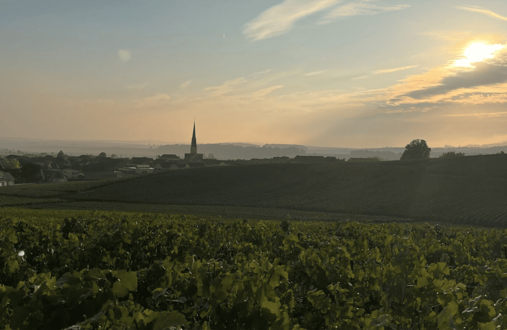 the story of Champagne Bonnet-Ponson