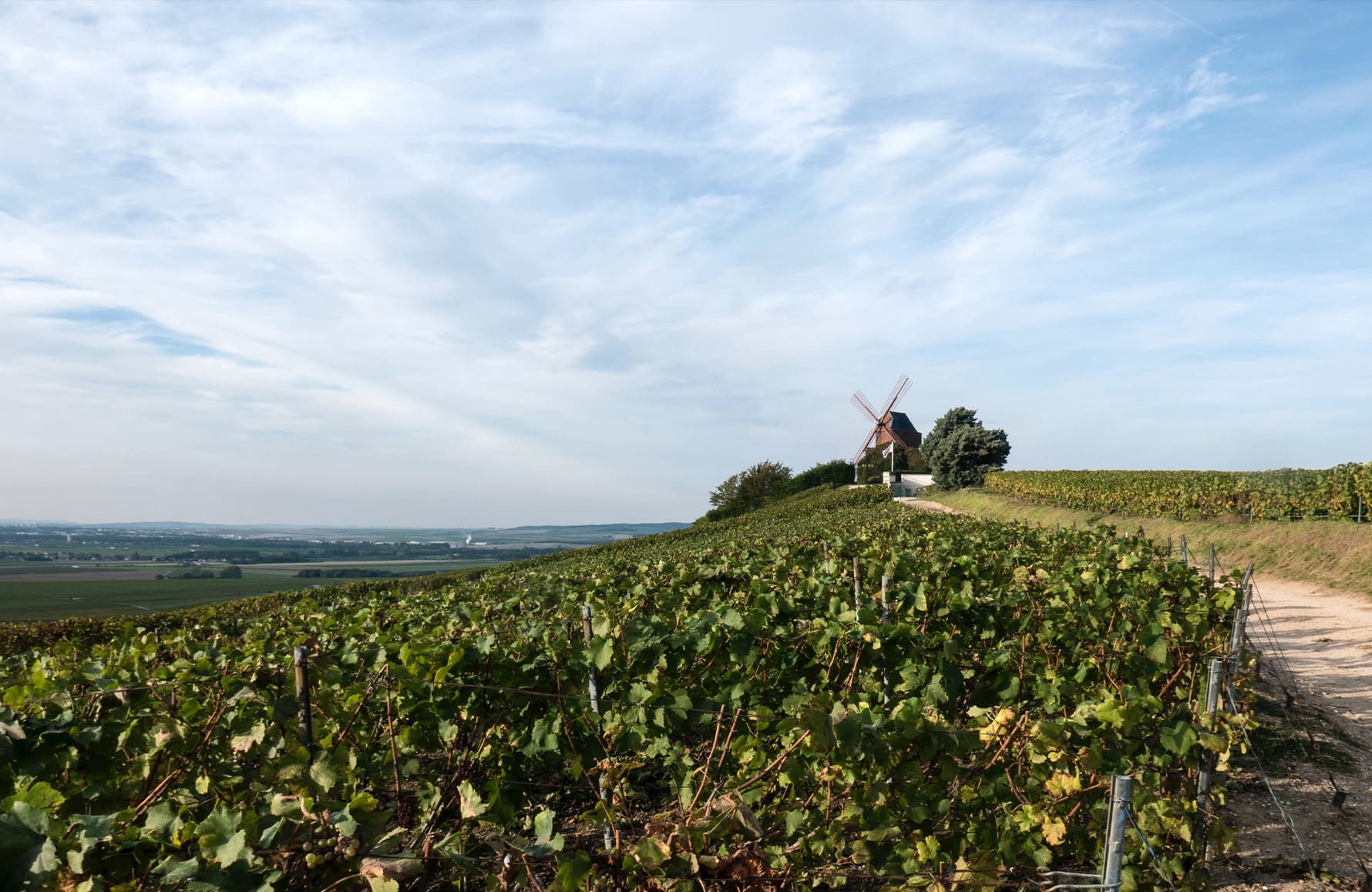 Champagne Laurent-Perrier