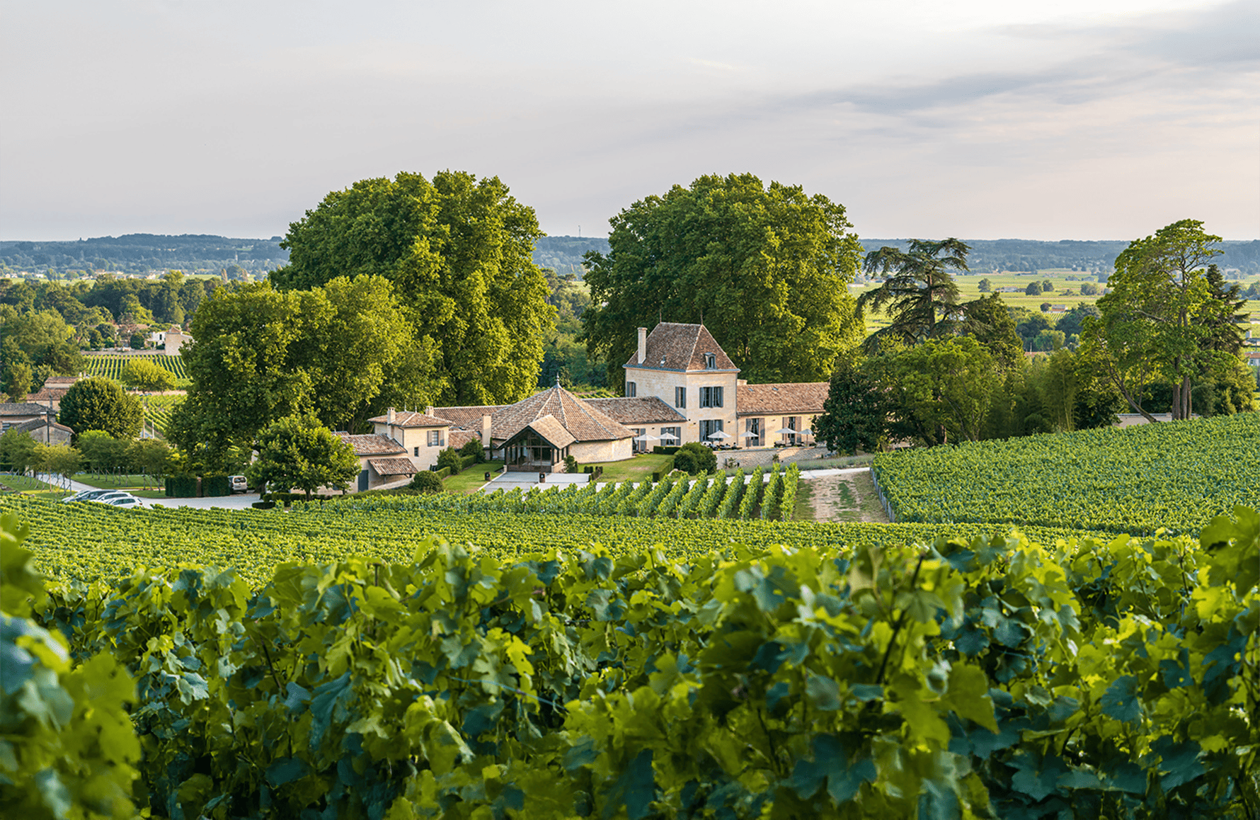 Wines Château Bellefont-Belcier