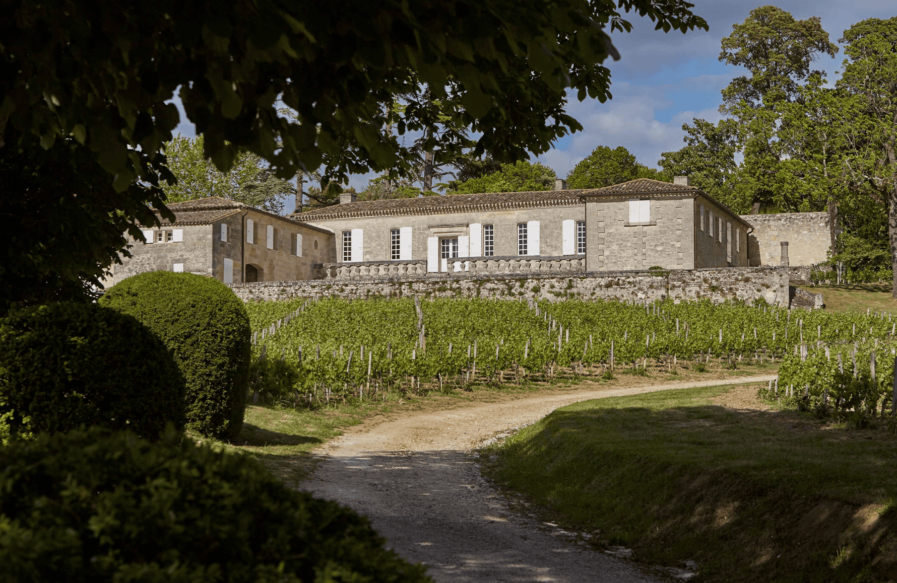 la historia de Château Bellevue