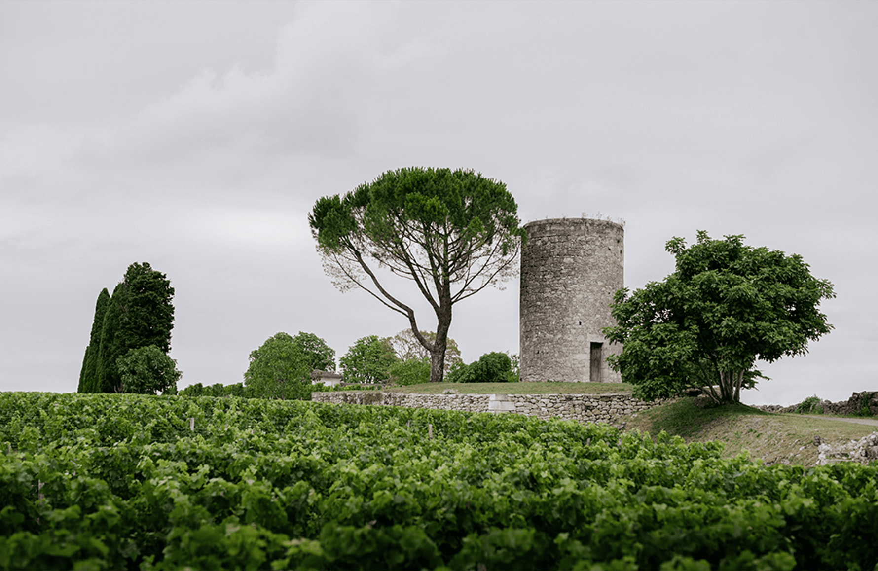 Vinos Château Berliquet