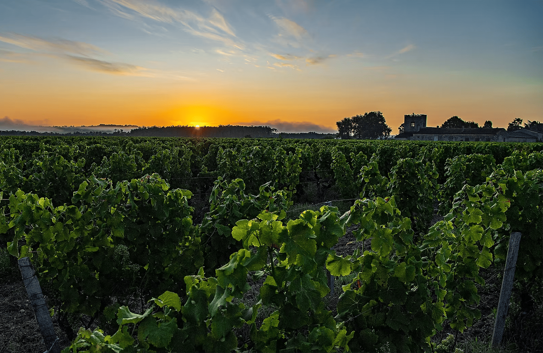 l’histoire du Château de Chantegrive