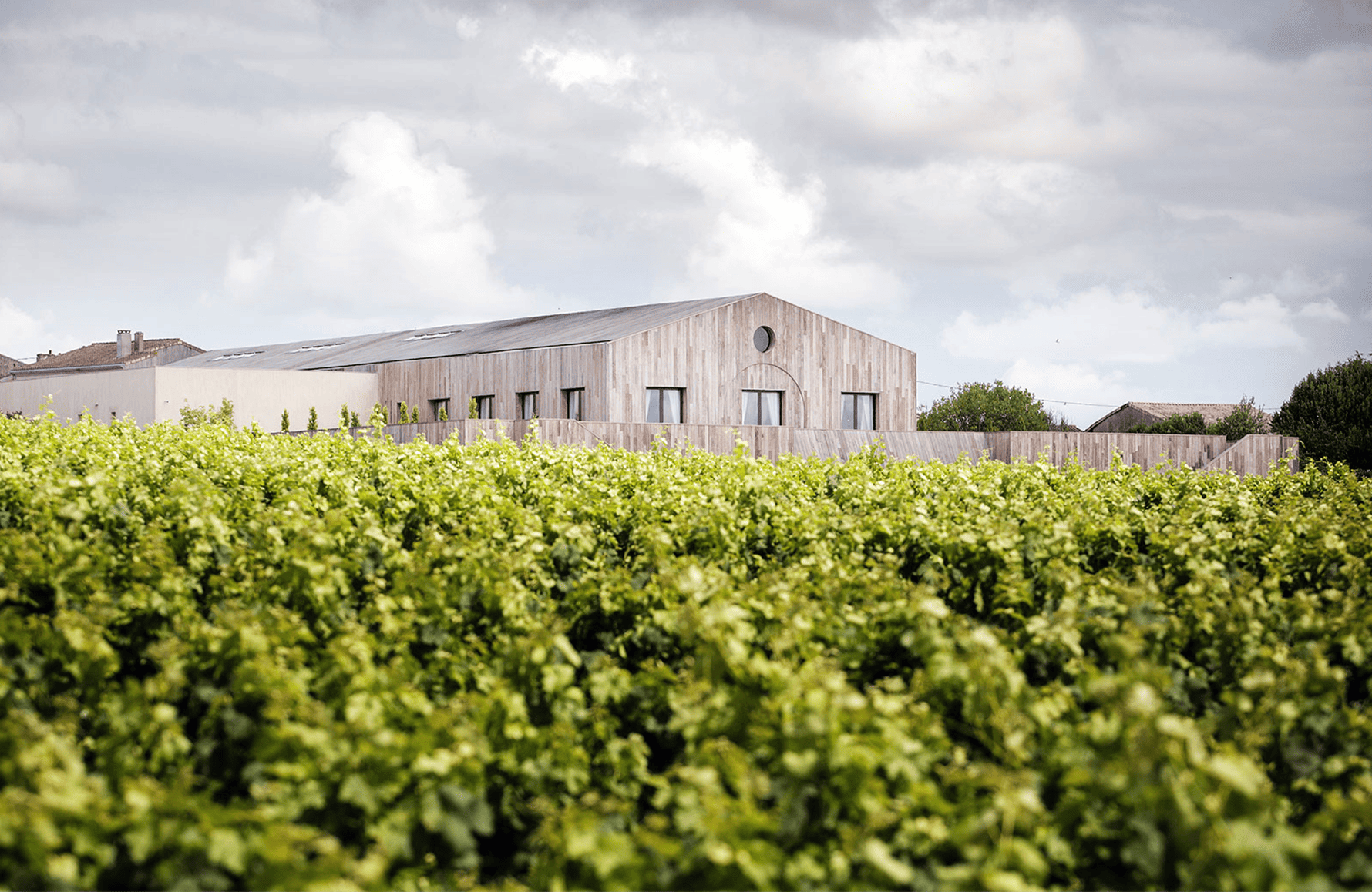 Wines Château Clerc Milon